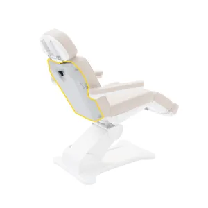 2246B treatment chair - Backrest (Plastic Cowling)