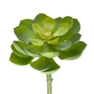 Artificial Spread Out Succulent, Light Green, 7-Inch