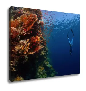 Gallery Wrapped Canvas, Freediver Descending Along The Vivid Reef Wall Red Sea Egypt